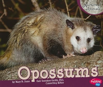 Opossums (Pebble Plus: Nocturnal Animals)