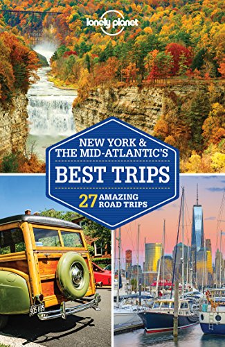 Algopix Similar Product 10 - Lonely Planet New York  the
