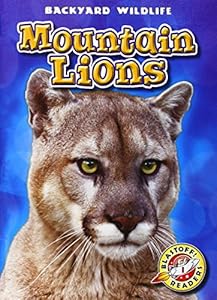 Mountain Lions