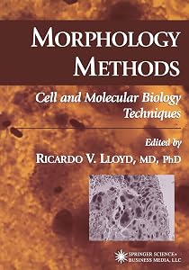 Morphology Methods: Cell and Molecular Biology Techniques by Ricardo V. Lloyd