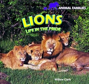 Lions: Life in the Pride (Animal Families)