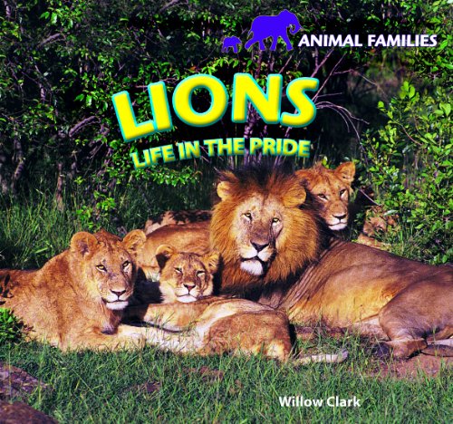 Lions: Life in the Pride by Willow Clark