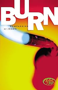 Burn by Brian Shipman