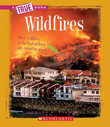 Wildfires by Howard K. Trammel