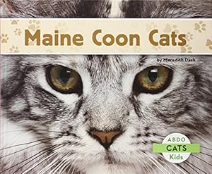 Maine Coon Cats
