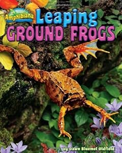 Leaping Ground Frogs