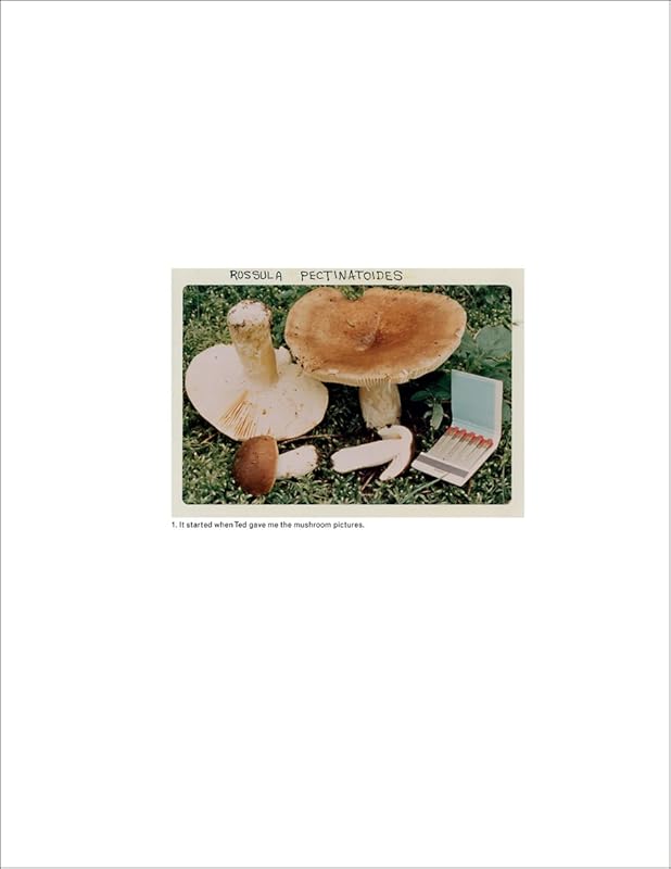Jason Fulford: The Mushroom Collector by Lorenzo de Rita