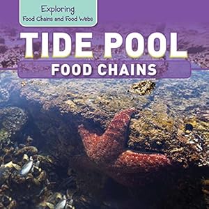 Tide Pool Food Chains