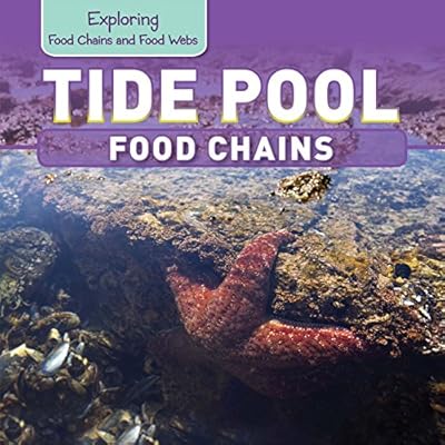 Tide Pool Food Chains