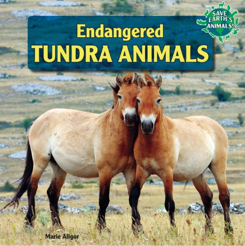 Endangered Tundra Animals by Marie Allgor