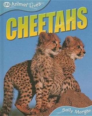 Cheetahs