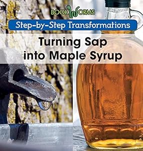 Turning SAP Into Maple Syrup
