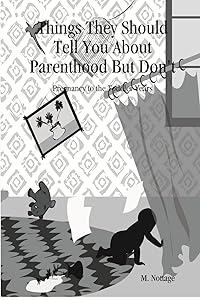 Things They Should Tell You about Parenthood But Don't Pregnancy to the Toddler Years by M. Nottage