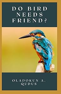 DO BIRD NEEDS FRIEND?: Essential Guide On How To Make Friends With Birds, What To Do To Make Home Attractive To Bird by OLADOKUN A. QUDUS