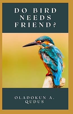 DO BIRD NEEDS FRIEND?: Essential Guide On How To Make Friends With Birds, What To Do To Make Home Attractive To Bird