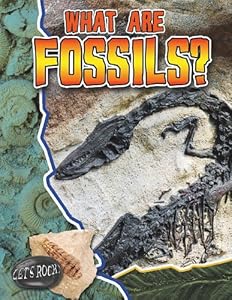 What Are Fossils?