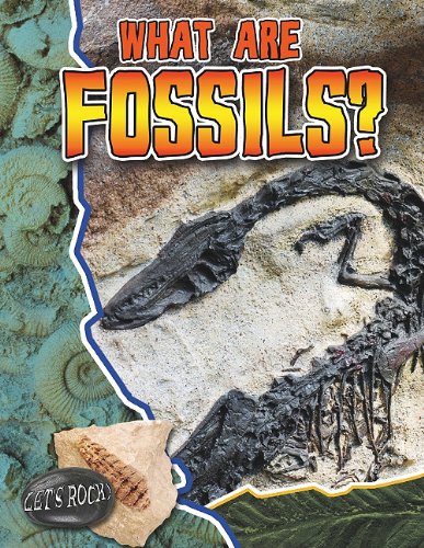 What Are Fossils? by Natalie Hyde