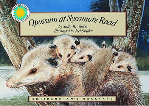 Opossum at Sycamore Road - a Smithsonian's Backyard Book (Mini book) by Sally M. Walker