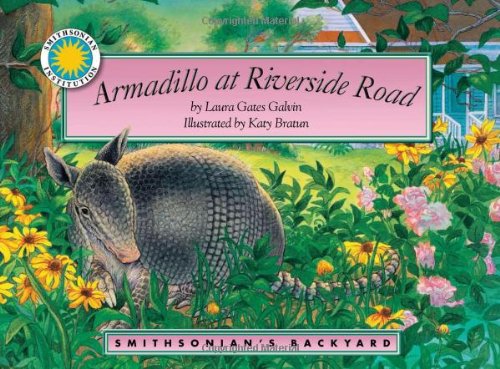Armadillo at Riverside Road (Smithsonian Backyard) by Laura Gates Galvin