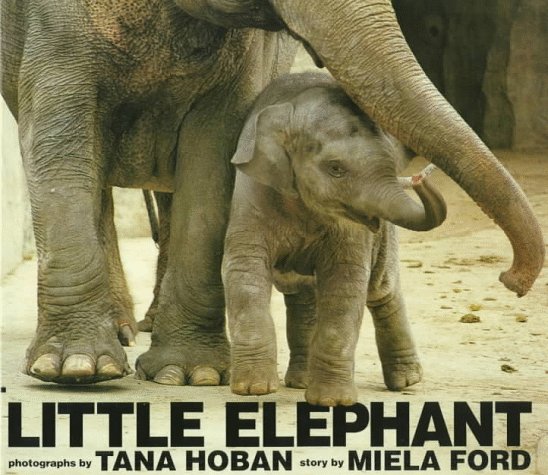 Little Elephant by Miela Ford