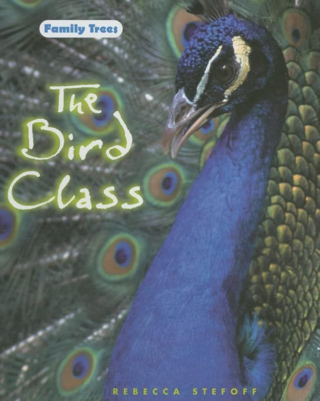 The Bird Class (Family Trees) by Rebecca Stefoff