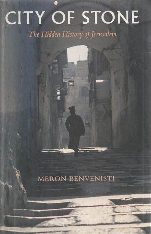 City of Stone: The Hidden History of Jerusalem by Meron Benvenisti