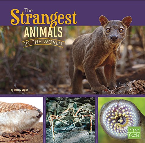 The Strangest Animals in the World by Tammy Gagne