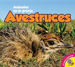 Avestruces = Ostriches