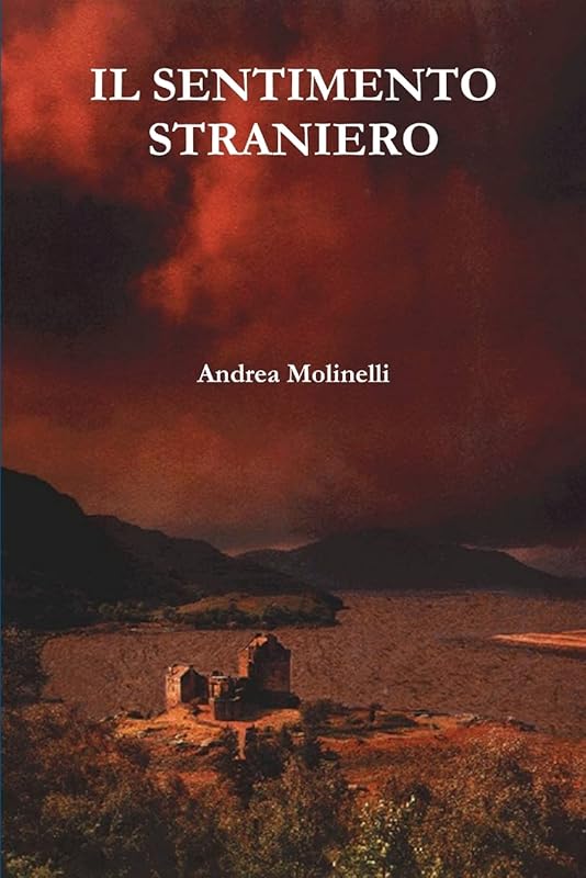 Il sentimento straniero (Italian Edition) by Andrea Molinelli