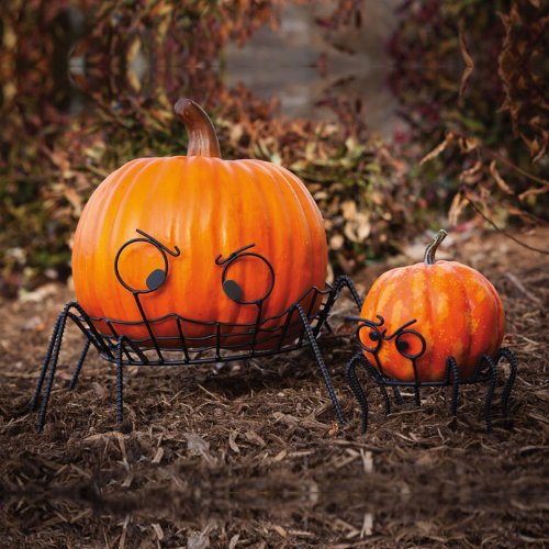 Spider Pumpkin Holders, Set of 2