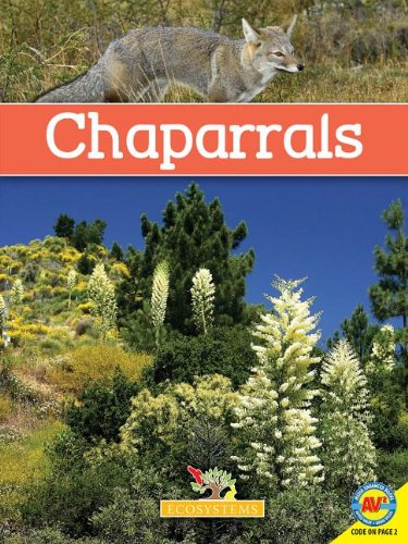 Chaparrals with Code by Michael De Medeiros