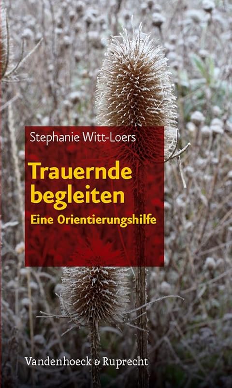 Trauernde begleiten: Eine Orientierungshilfe (German Edition) by Stephanie Witt-loers