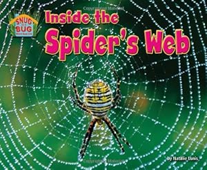 Inside the Spiders Web