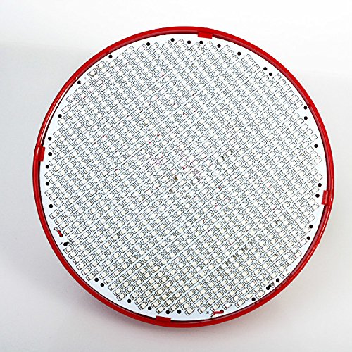 

Gled 80w 800 Pcs Led Chips Grow Light for Greenhouse and Hydrponic System