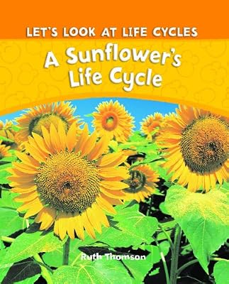 A Sunflower's Life Cycle