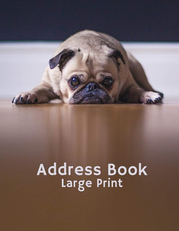 Address Book Large Print: Dog Cover, Record Birthday, Phone Number, Address, Email & Important Notes : Size (8.5x11) by LargeBook Studio