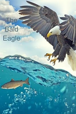 The Bald Eagle: Be Bold Be Courageous