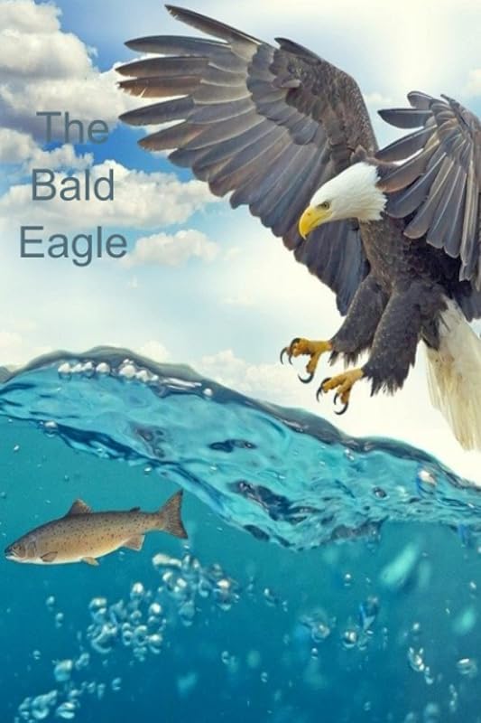 The Bald Eagle: Be Bold Be Courageous by Brenda Smith