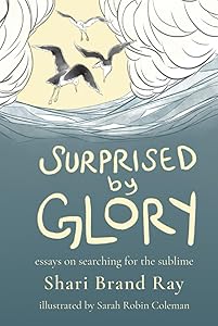 Surprised by Glory: Essays on Searching for the Sublime by Shari Brand Ray