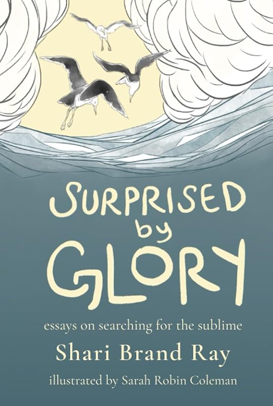 Surprised by Glory: Essays on Searching for the Sublime by Shari Brand Ray