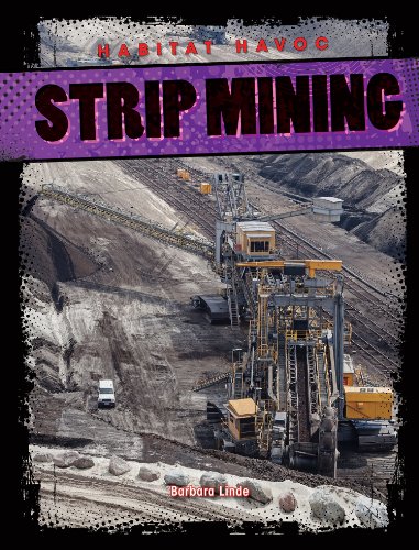 Strip Mining by Barbara Linde