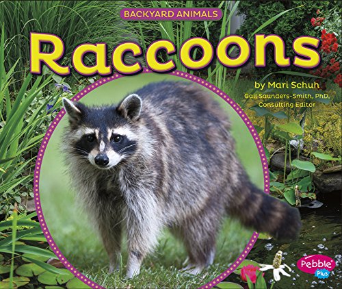 Raccoons by Mari Schuh