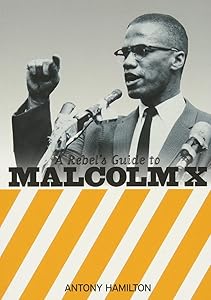A Rebel's Guide to Malcolm X by Antony Hamilton