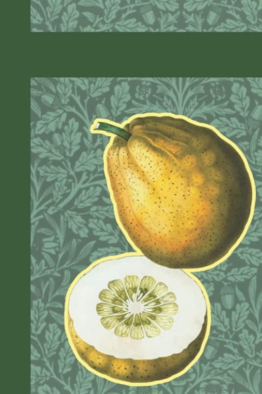Personal retrospective journal: Get a picture of your past by Vintage looking books