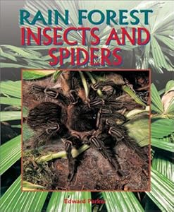 Insects and Spiders (Rain Forest (Rain Tree))