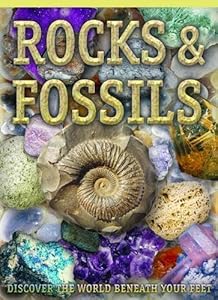 Rocks and Fossils