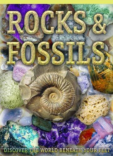 Rocks and Fossils by Chris Pellant