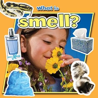 What Is Smell?