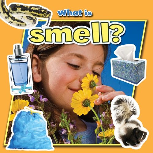 What Is Smell? by Molly Aloian