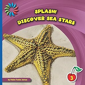 Discover Sea Stars